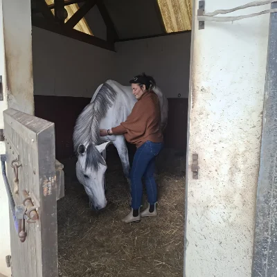 Alba Morassi pratique un soin énergétique sur un cheval blanc à l’intérieur d’une écurie, dans une posture de contact apaisante.