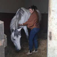 Alba Morassi pratique un soin énergétique sur un cheval blanc à l’intérieur d’une écurie, dans une posture de contact apaisante.