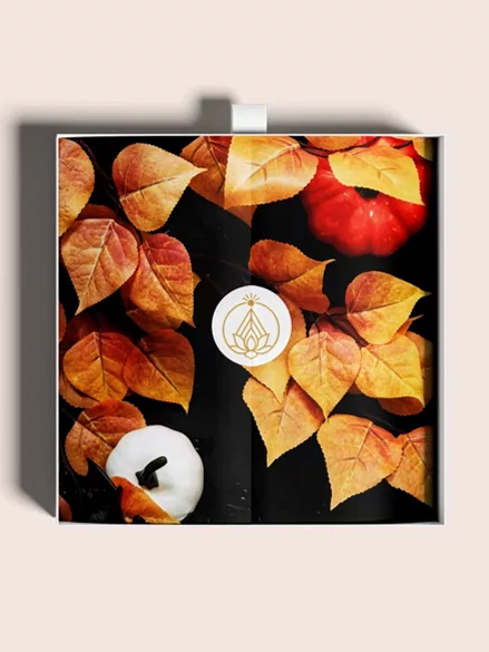 Coffret mystère Orione ouvert, couvercle noir à logo doré et intérieur blanc
